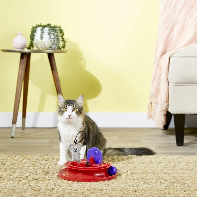 KONG Cat Playground Cat Toy 4 KONG Cat Playground Cat Toy - Image 2