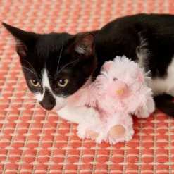 KONG Kitten Teddy Bear Cat Toy, Color Varies 9 KONG Kitten Teddy Bear Cat Toy, Color Varies -KONG Toys Shop 91346 PT6. SY630 V1603167680