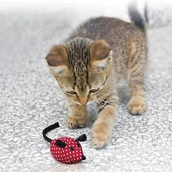 KONG Catnip Mice Cat Toy, Color Varies -KONG Toys Shop 91360 PT6. SY630 V1603155077